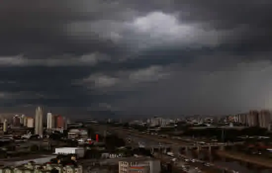 Chuva em SP causa alagamentos e quedas de árvores; veja previsão para segunda