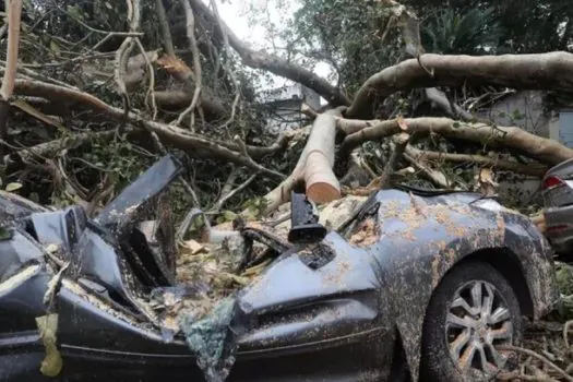 Chuva em SP: Cinco pessoas ficam feridas após queda de árvore na Teodoro Sampaio