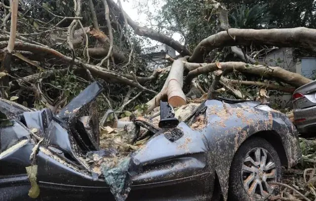 Chuva em SP: Cinco pessoas ficam feridas após queda de árvore na Teodoro Sampaio