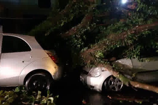 Chuva e vento causam alagamentos e destruição no ABC