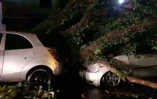 Chuva e vento causam alagamentos e destruição no ABC