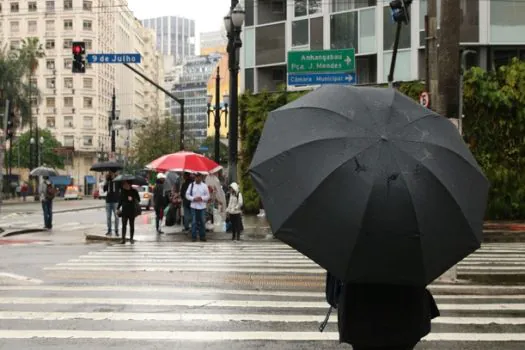 Chuvas causam queda de árvores e pontos de alagamento em SP