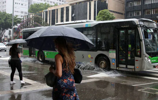 SP já ultrapassou em 12% a média histórica de chuvas para janeiro