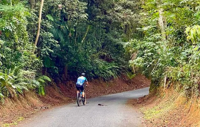 Moutain bike: Parque Estadual da Cantareira conta com percursos para ciclistas