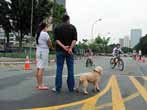 No domingo o Paço de São Bernardo terá ciclofaixa de lazer