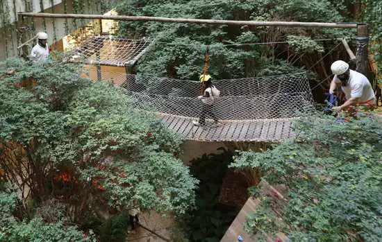 Shopping Cidade Jardim cria Circuito de Arvorismo para as férias