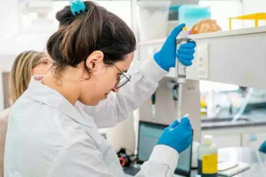 FAPESP anuncia investimentos de R$ 800 milhões em ciência