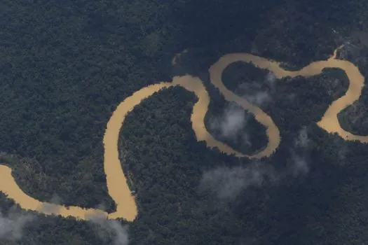 Cimi pede recomposição de comissão que acompanha crise yanomami