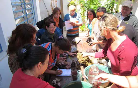 Instituto Acqua realiza oficina gratuita de jardinagem e paisagismo