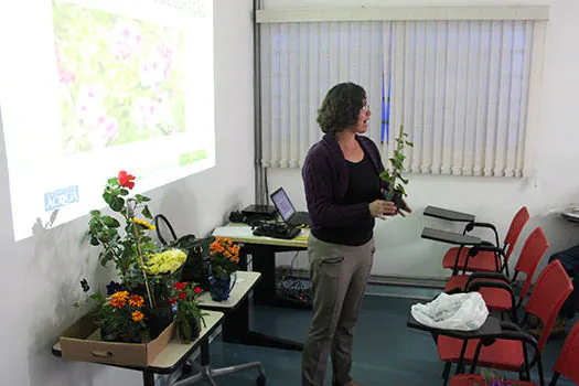 Ervas aromáticas em jardineiras são tema de encontro do Clube de Jardinagem