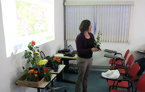 Ervas aromáticas em jardineiras são tema de encontro do Clube de Jardinagem