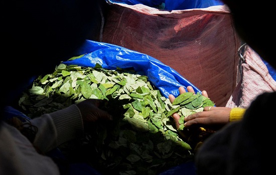 ‘Cocaína deveria ser totalmente legalizada’