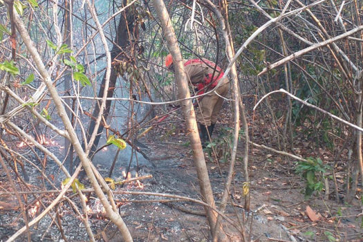 Chuva ajuda a apagar incêndios na Chapada dos Veadeiros, em Goiás