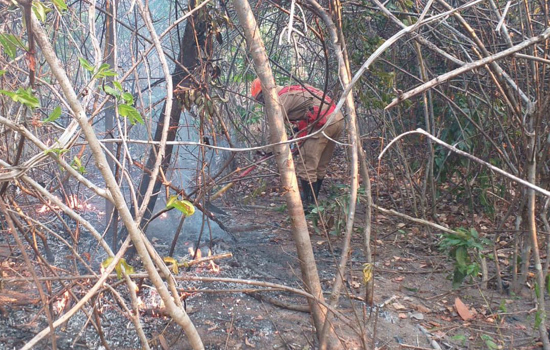 Chuva ajuda a apagar incêndios na Chapada dos Veadeiros