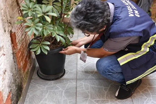 Em SP, medidas de combate à dengue devem seguir na primavera