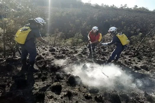 Governo de SP intensifica ações de combate aos incêndios florestais