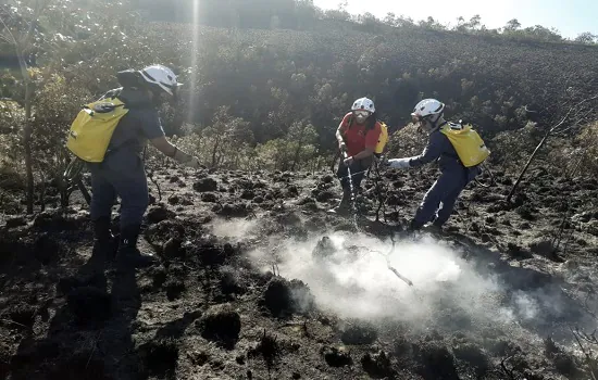 Governo de SP intensifica ações de combate aos incêndios florestais