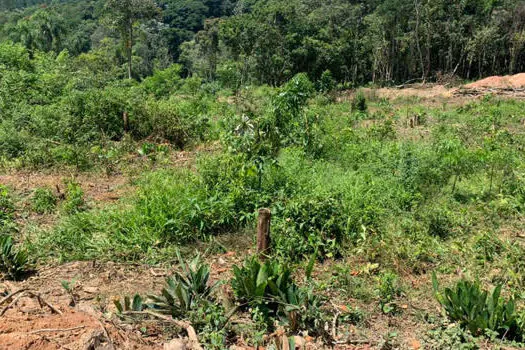 Operação em SP flagra comércio ilegal de lotes em áreas preservadas