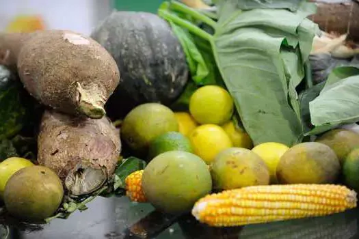 É necessário reduzir o desperdício de alimentos