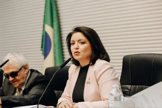 Andréa Werner presidirá comissão dos Direitos da Pessoa com Deficiência