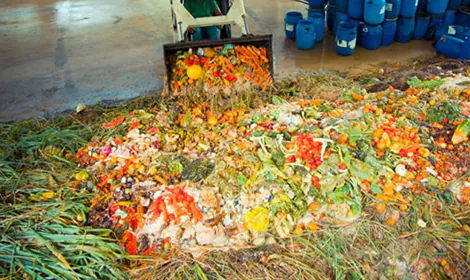 Oficina de compostagem ensina a transformar lixo em adubo