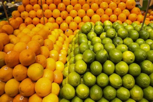 Conab diz que frutas registram queda de preços