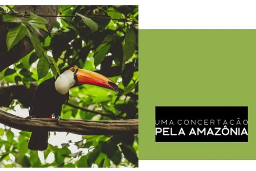 Uma Concertação pela Amazônia lança na COP26 agenda pelo desenvolvimento da região