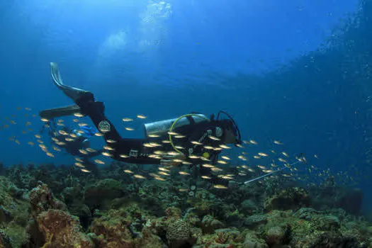 Inscrições abertas para Concurso BIOMAR de FotoSub – Edição Abrolhos