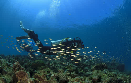 Inscrições abertas para Concurso BIOMAR de FotoSub – Edição Abrolhos