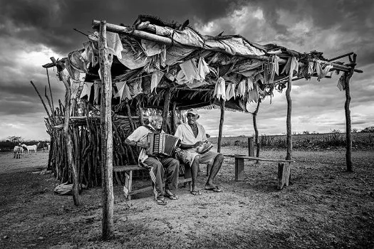 Fotoclube ABCclick conquista o 2ª lugar no Concurso Photo Nature Brasil