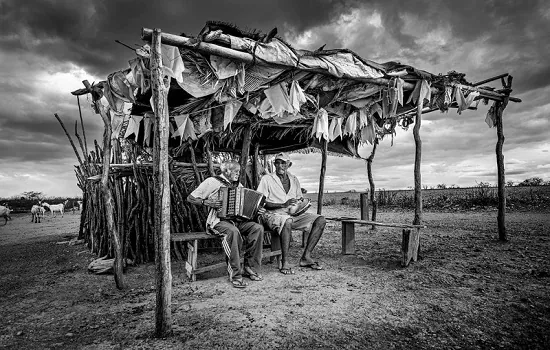 Fotoclube ABCclick conquista o 2ª lugar no Concurso Photo Nature Brasil