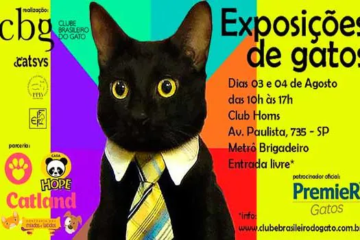 Avenida Paulista recebe evento com mais de 300 gatos em agosto