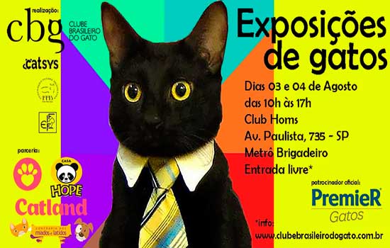 Avenida Paulista recebe evento com mais de 300 gatos em agosto