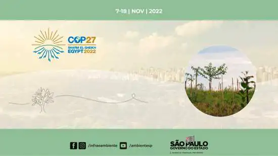 COP27: São Paulo representará governos subnacionais da América Latina e Caribe