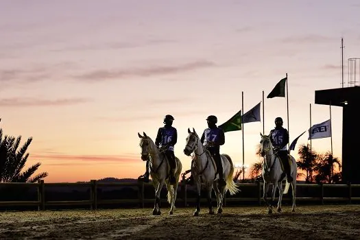 Copa Nacional de Enduro do Cavalo Árabe acontece este mês em Campinas