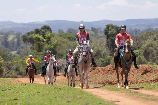 Copa Nacional de Enduro evidência a aptidão do cavalo Árabe em correr longas distâncias