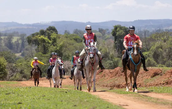 Copa Nacional de Enduro evidência a aptidão do cavalo Árabe em correr longas distâncias