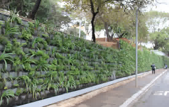 Prefeitura de SP planeja ‘corredores verdes’ em 113 km de vias do centro