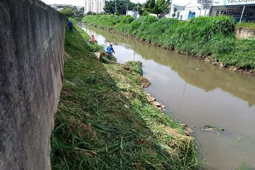 Semasa finaliza serviços de capina e roçada em córregos em Santo André