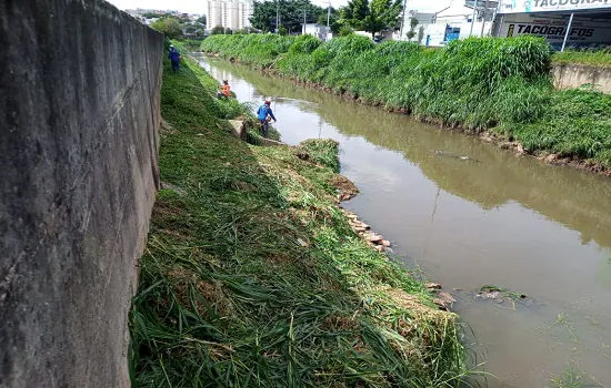 Semasa finaliza serviços de capina e roçada em córregos em Santo André