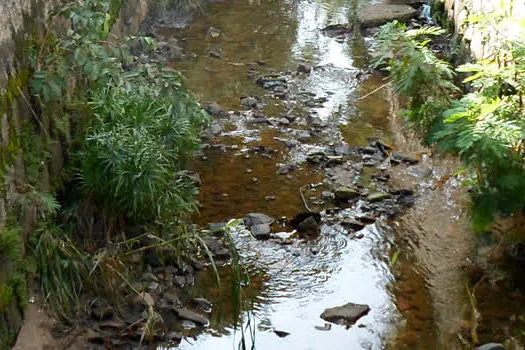 Mauá celebra o dia Mundial do Meio Ambiente com a despoluição de córregos