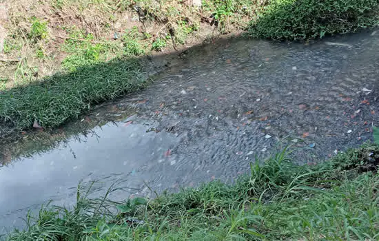 Moradores e comerciantes comemoram despoluição do córrego Bocaina em Mauá