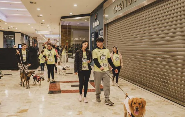 Grand Plaza Shopping recebe 5k Animal