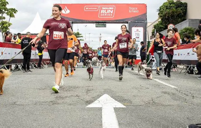 Santander Track&Field Run Series realiza segunda etapa com Pets no Center Norte