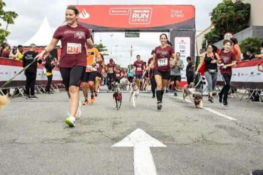 Santander Track&Field Run Series anuncia etapas Pet Friendly em São Paulo