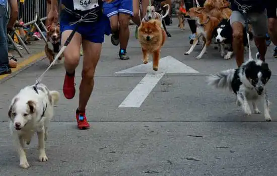 Finde Run traz evento esportivo para pets e toda a família