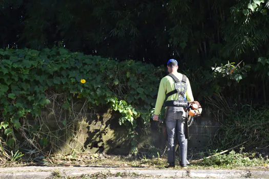 Estrada do Simeão recebe serviços de limpeza e corte de mato