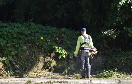 Estrada do Simeão recebe serviços de limpeza e corte de mato