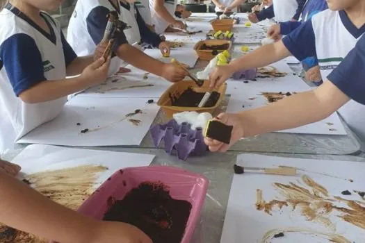 Escolas de São Caetano são selecionadas em projeto da FAOEMEI Rosana Aparecida Munhos, EME