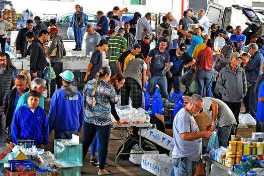 Mercado de peixes ornamentais da Craisa é opção para praticantes do aquarismo e lojistas
